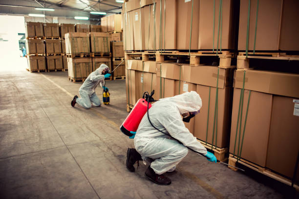 Best Local Pest Control Services  in White River Junction, VT