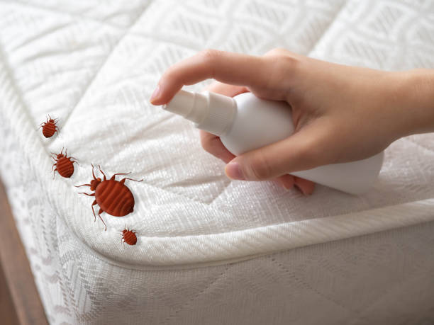 Best Pest Prevention Services  in White River Junction, VT