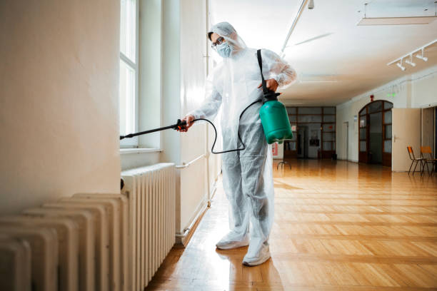 Best Emergency Pest Control  in White River Junction, VT