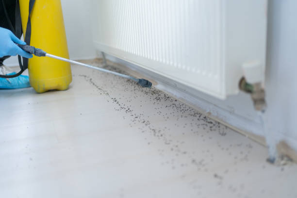  White River Junction, VT Pest Control Pros